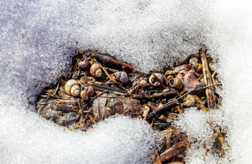 Ранний ледоход прошел в Калязине у колокольни Николаевского Собора 22 фото