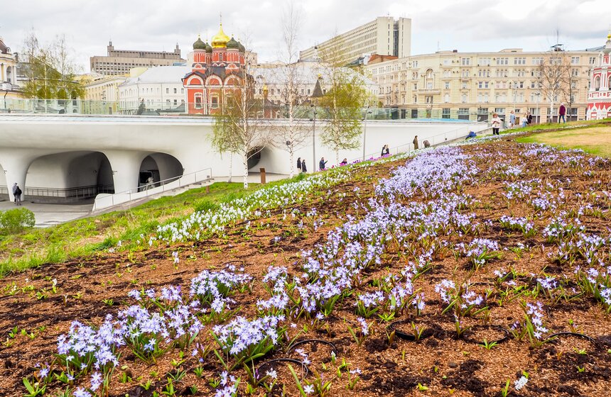 Сезонная "Волна цветения" началась в парке "Зарядье" в Москве 18 фото