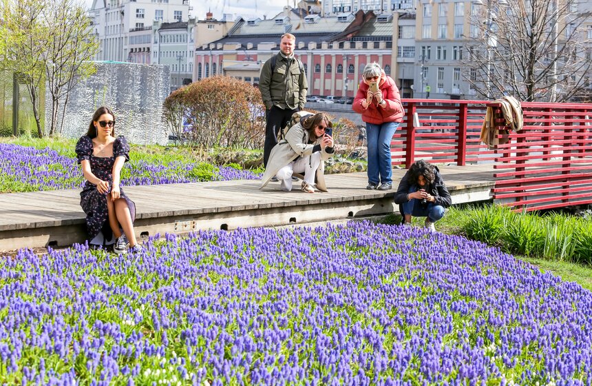 Сезонная "Волна цветения" началась в парке "Зарядье" в Москве 1 фото