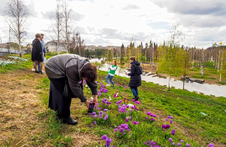 Сезонная "Волна цветения" началась в парке "Зарядье" в Москве 19 фото