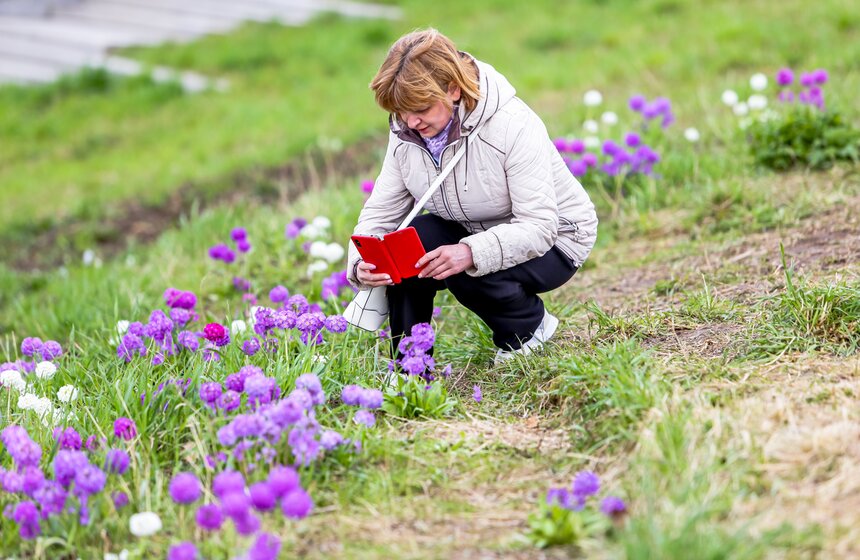 Сезонная "Волна цветения" началась в парке "Зарядье" в Москве 8 фото