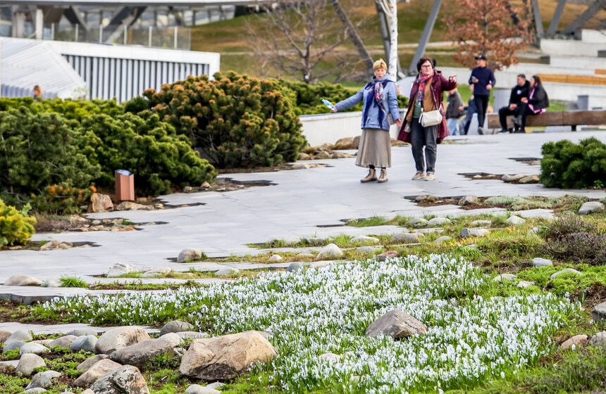 Сезонная "Волна цветения" началась в парке "Зарядье" в Москве 11 фото