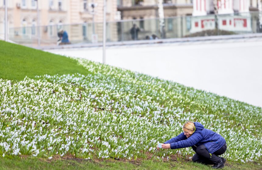 Сезонная "Волна цветения" началась в парке "Зарядье" в Москве 5 фото