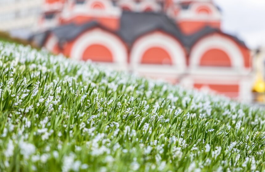 Сезонная "Волна цветения" началась в парке "Зарядье" в Москве 6 фото