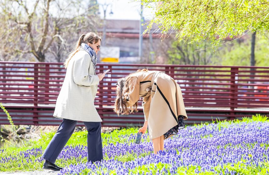Сезонная "Волна цветения" началась в парке "Зарядье" в Москве 3 фото