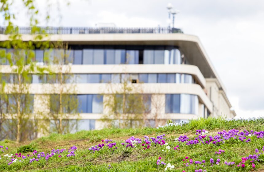 Сезонная "Волна цветения" началась в парке "Зарядье" в Москве 7 фото