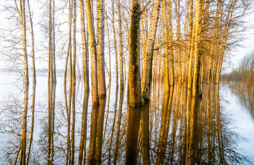 Паводок превратил храм Покрова на Нерли во Владимирской области в остров 2 фото