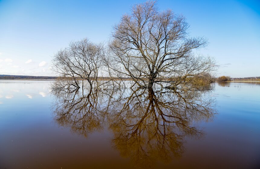 Паводок превратил храм Покрова на Нерли во Владимирской области в остров 6 фото