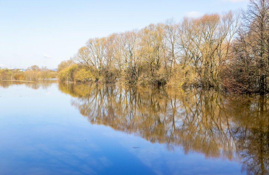 Паводок превратил храм Покрова на Нерли во Владимирской области в остров 10 фото