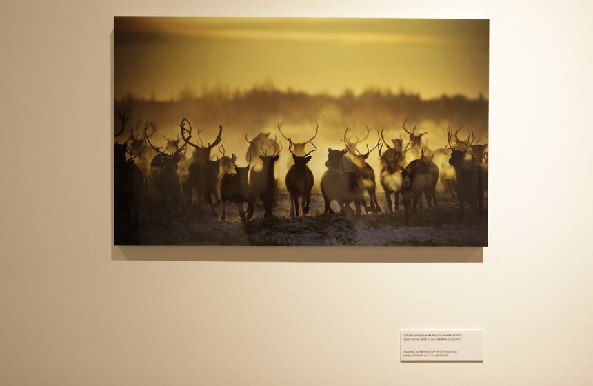 Фотовыставка "Best Of Russia - 2013" открылась на "Винзаводе" 10 фото