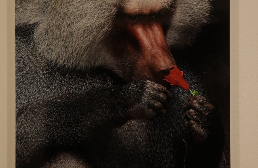 Фотовыставка "Best Of Russia - 2013" открылась на "Винзаводе" 9 фото