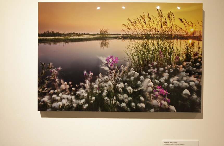 Фотовыставка "Best Of Russia - 2013" открылась на "Винзаводе" 8 фото