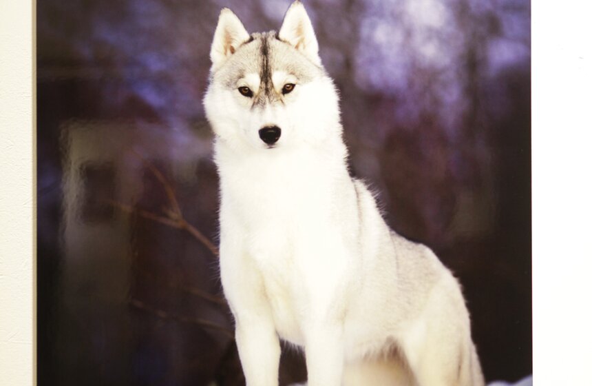 Фотовыставка "Best Of Russia - 2013" открылась на "Винзаводе" 3 фото