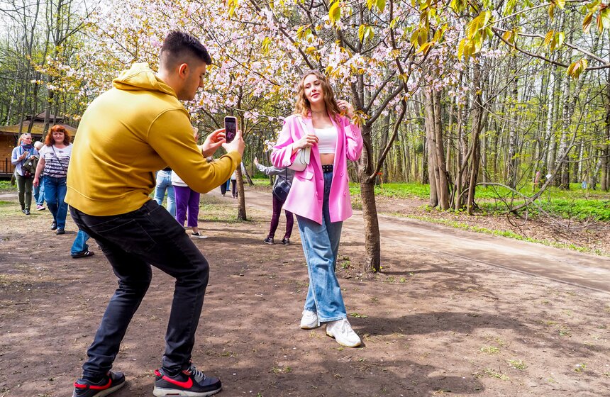 Сезон цветения сакуры начался в Москве 13 фото