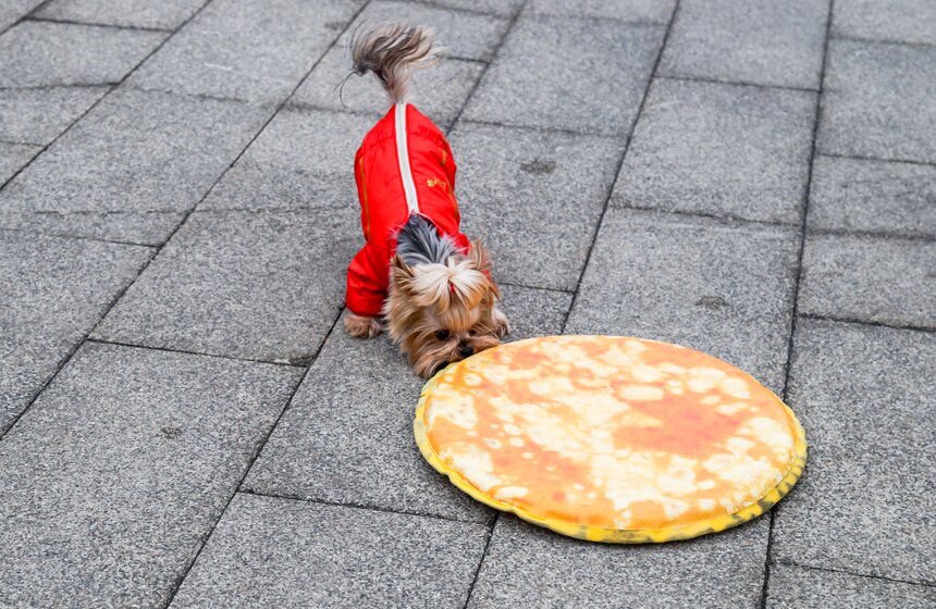 Самый большой блин в России испекли на ВДНХ 14 фото