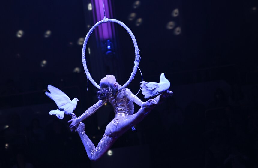 Цирк Никулина представил программу "Матрешка" 27 фото
