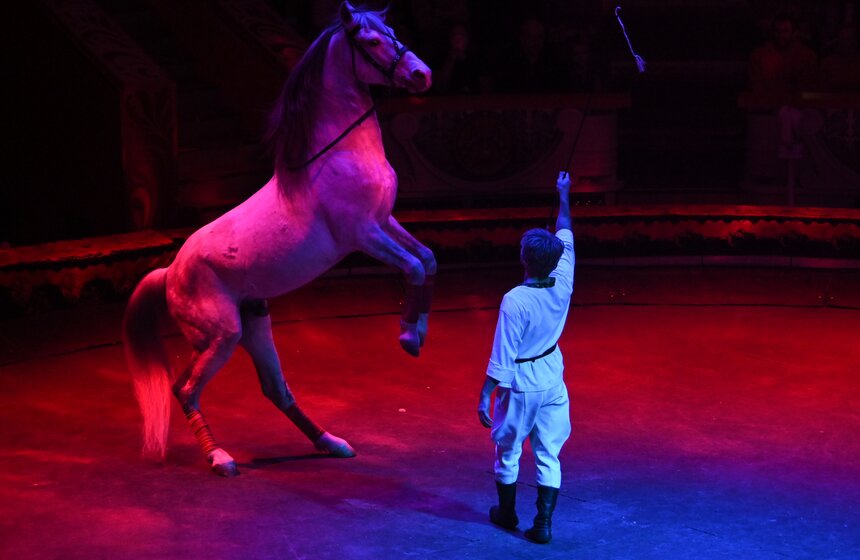 Цирк Никулина представил программу "Матрешка" 23 фото