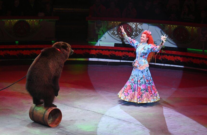 Цирк Никулина представил программу "Матрешка" 13 фото
