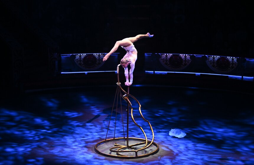 Цирк Никулина представил программу "Матрешка" 8 фото