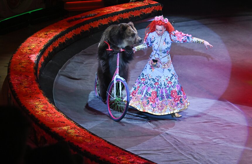 Цирк Никулина представил программу "Матрешка" 14 фото