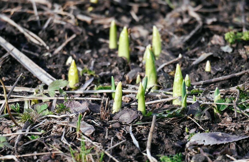 Январь 2025 года в Москве обновил температурный рекорд 4 фото