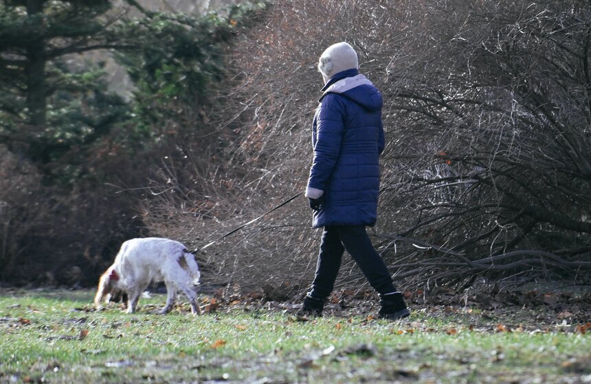 Январь 2025 года в Москве обновил температурный рекорд 10 фото