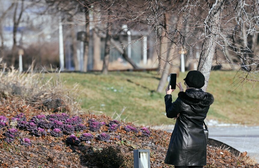 Январь 2025 года в Москве обновил температурный рекорд 7 фото