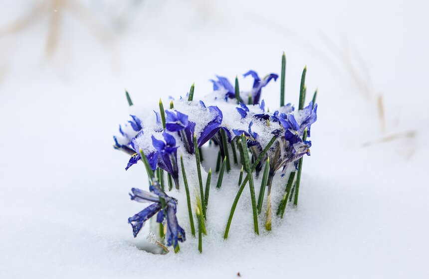 Сугробы растают в Москве к 17–18 апреля 10 фото
