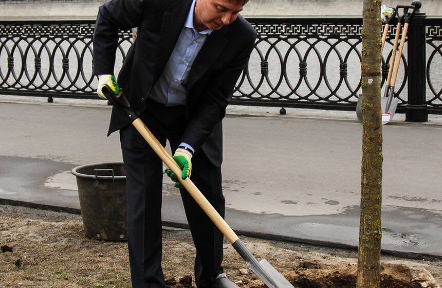 Ведущие телеканала "Москва 24" высадили вязы в центре столицы 12 фото