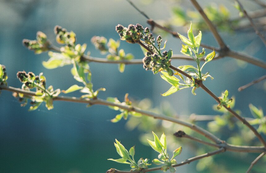 Аномальная жара установилась в Москве 2 фото