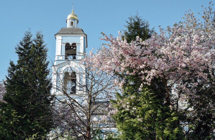 Аномальная жара установилась в Москве 21 фото