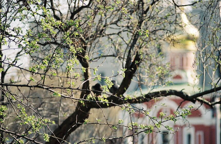 Аномальная жара установилась в Москве 1 фото