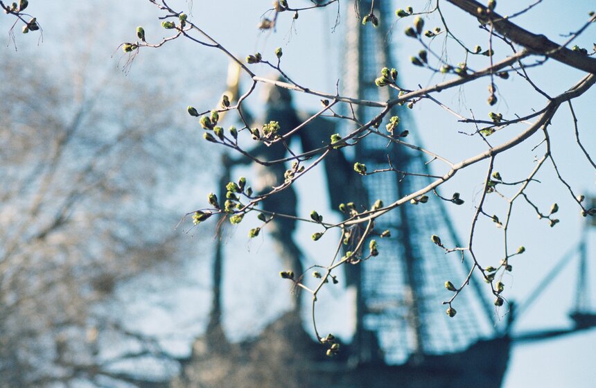 Аномальная жара установилась в Москве 7 фото