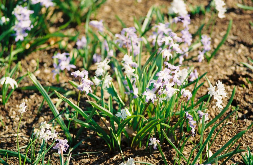Аномальная жара установилась в Москве 12 фото