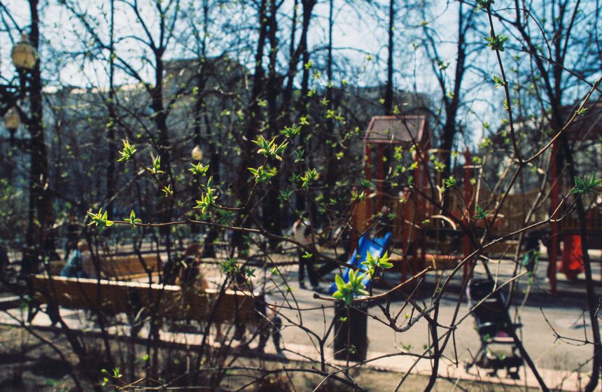 Аномальная жара установилась в Москве 14 фото