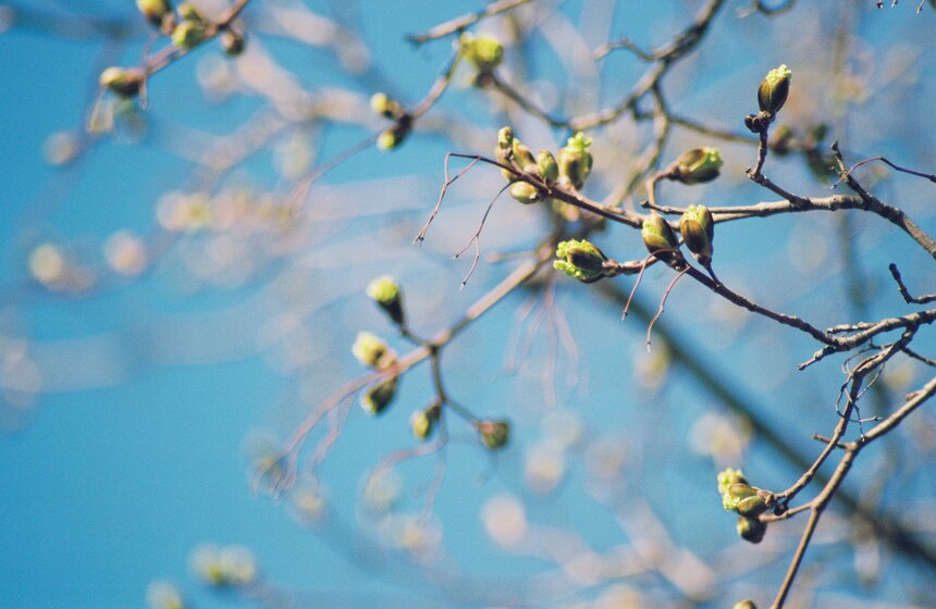 Аномальная жара установилась в Москве 16 фото