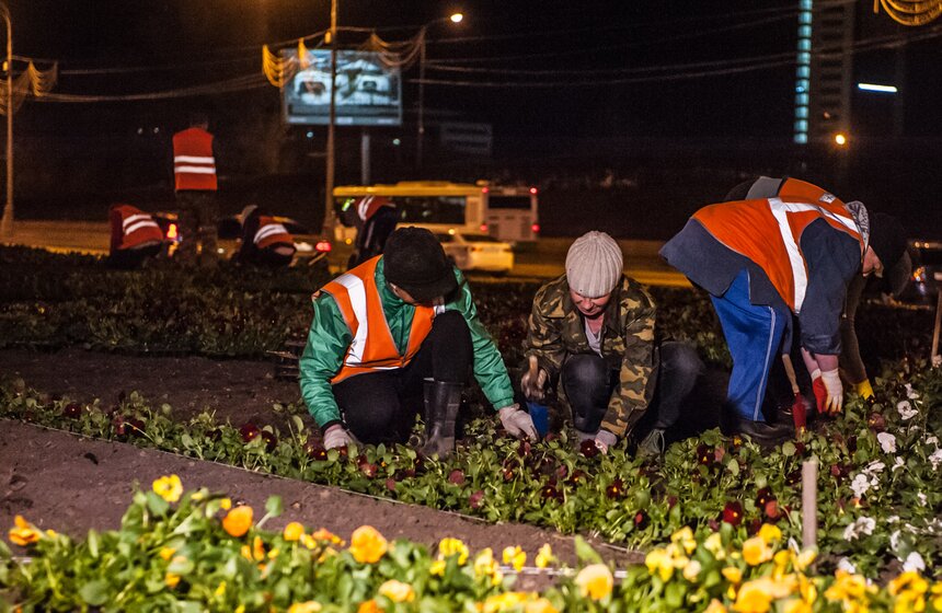 У Триумфальной арки высадили 365 тысяч цветов виолы 18 фото