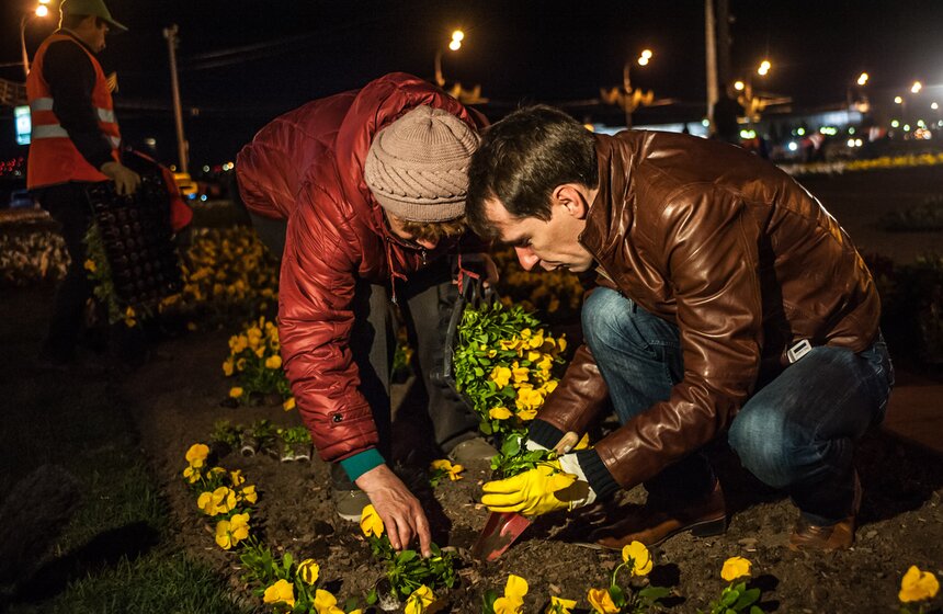 У Триумфальной арки высадили 365 тысяч цветов виолы 16 фото