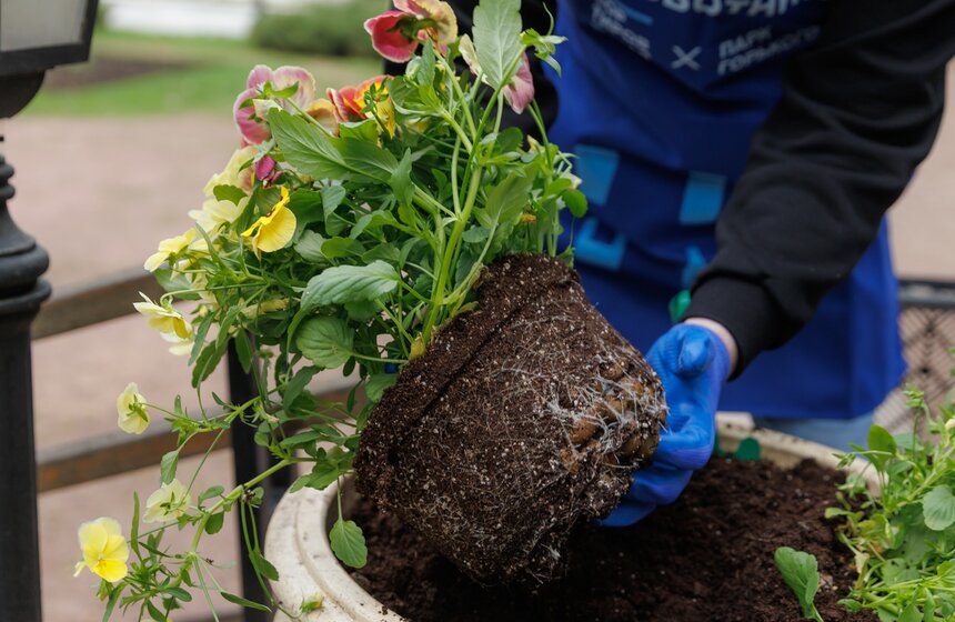 Проект "Сортировочная" и Парк Горького провели экосубботник в Нескучном саду 20 фото