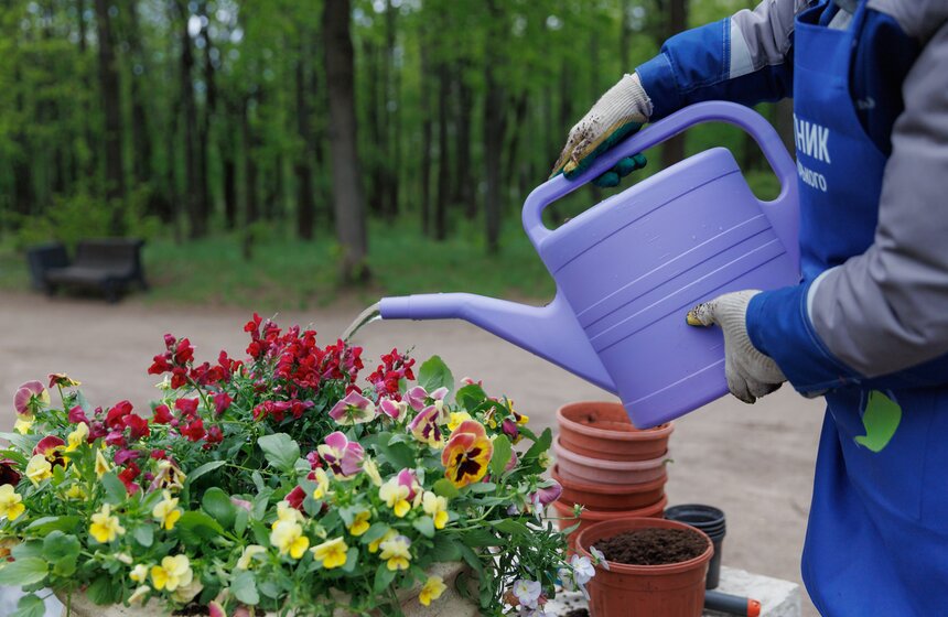 Проект "Сортировочная" и Парк Горького провели экосубботник в Нескучном саду 24 фото