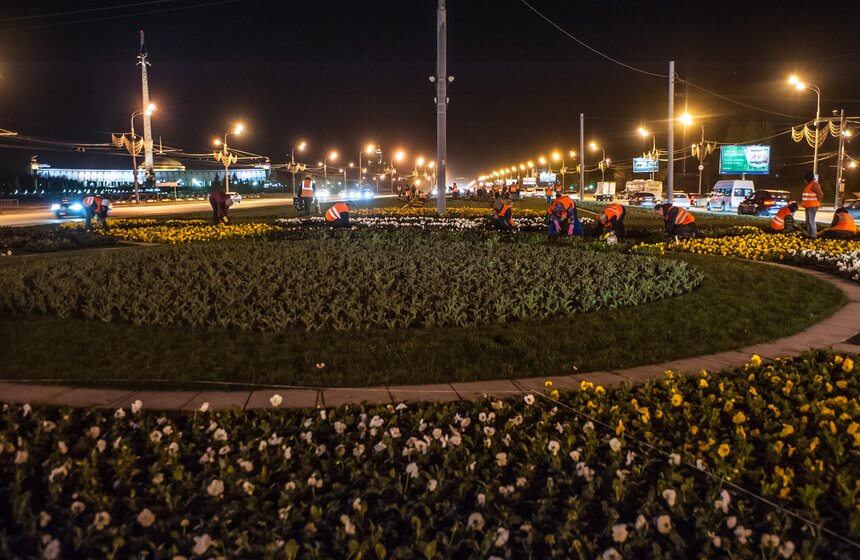 У Триумфальной арки высадили 365 тысяч цветов виолы 6 фото