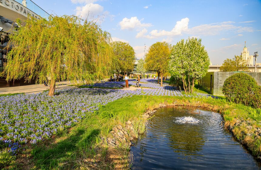 Первоцветы распустились в парке "Зарядье" 6 фото