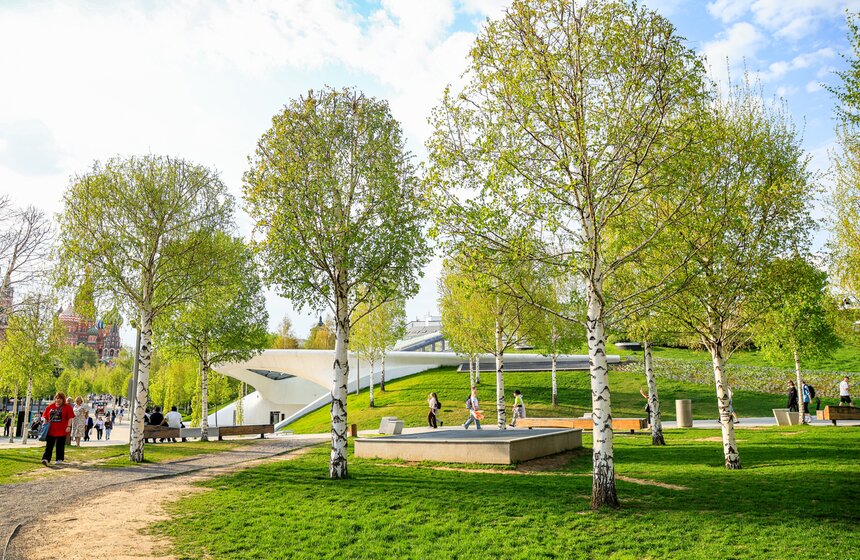 Первоцветы распустились в парке "Зарядье" 8 фото