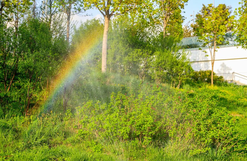 Первоцветы распустились в парке "Зарядье" 5 фото