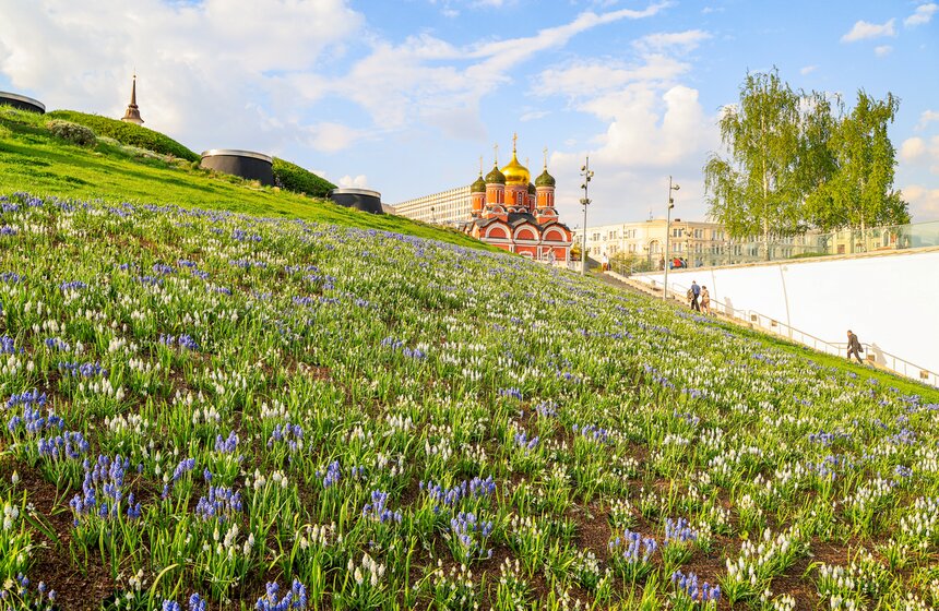 Первоцветы распустились в парке "Зарядье" 10 фото