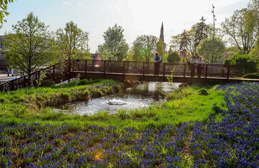 Первоцветы распустились в парке "Зарядье" 4 фото