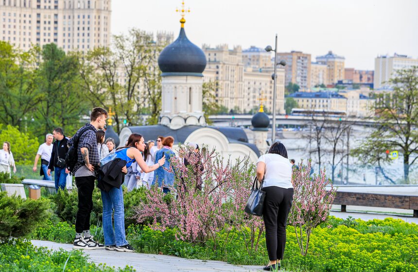 Первоцветы распустились в парке "Зарядье" 19 фото