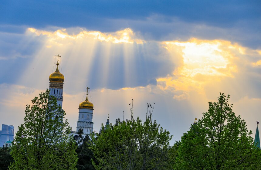 Первоцветы распустились в парке "Зарядье" 20 фото