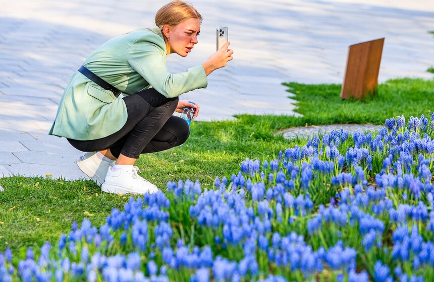 Первоцветы распустились в парке "Зарядье" 2 фото