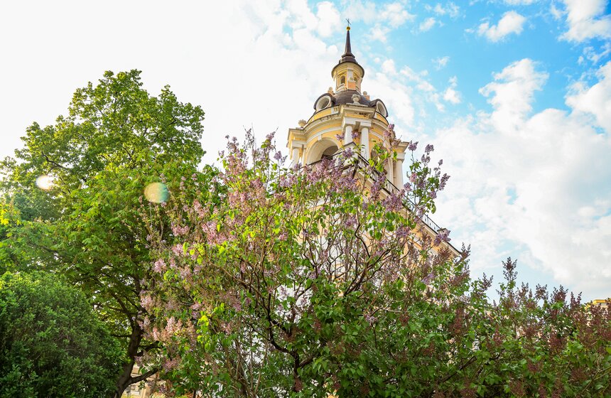 Первоцветы распустились в парке "Зарядье" 12 фото